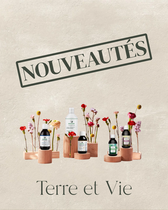 Nouveautés
