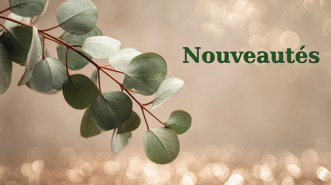 Nouveautés