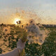 Sticky Image