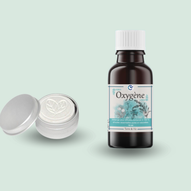 Gift set - Diffuser pebble with leaves + Essential oil