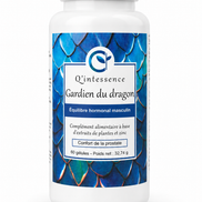 GARDIEN DU DRAGON