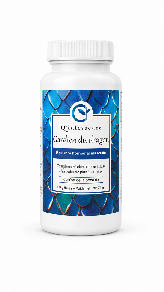 - GARDIEN DU DRAGON -