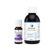 DUO IMMUNITE : PHYCOCYANINE ET SENTINELLE