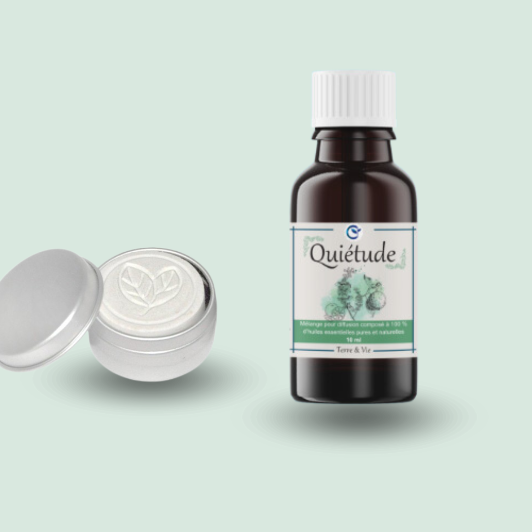 Duo : galet diffuseur feuilles + huile essentielle au choix