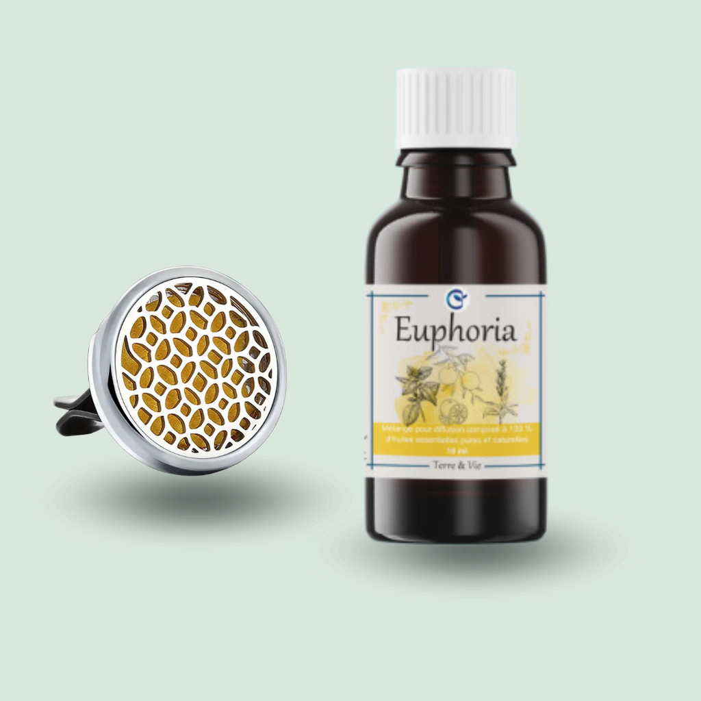 Coffret cadeau - Diffuseur auto + Huile essentielle (ref11.5)