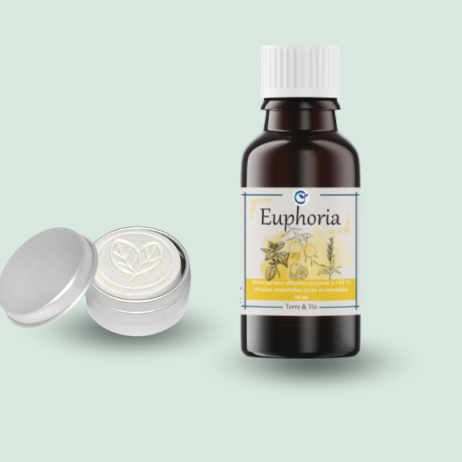 Duo : galet diffuseur feuilles + huile essentielle au choix