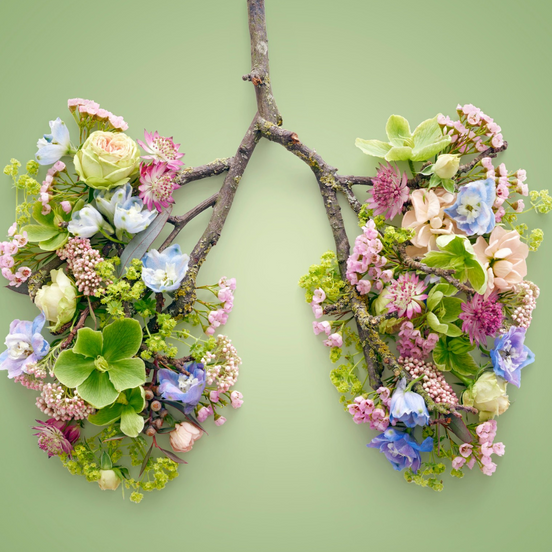 Oxygène - Huiles essentielles diffusion (ref008)