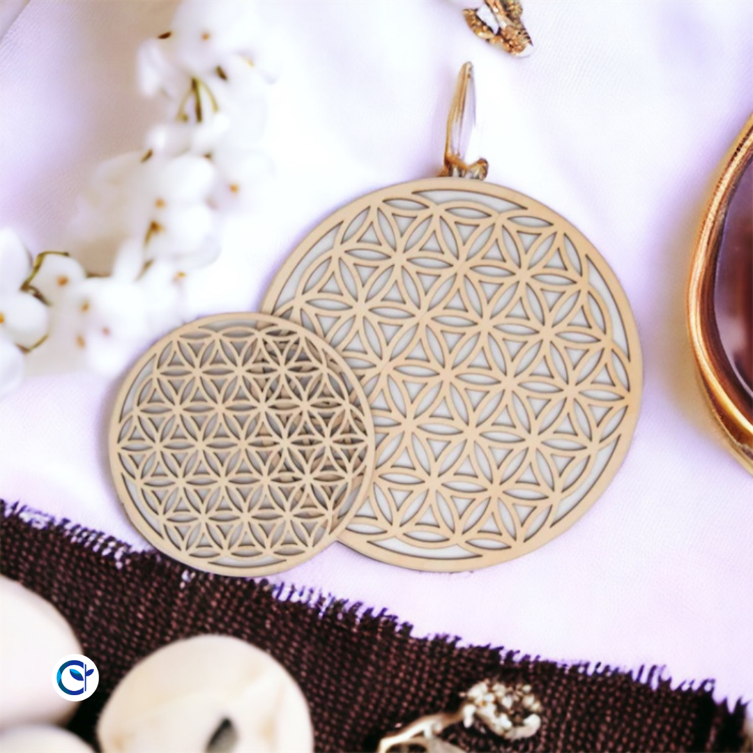 Fleur De Vie' Sweat à Capuche Unisexe