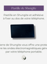 Plaque de protection en Shungite