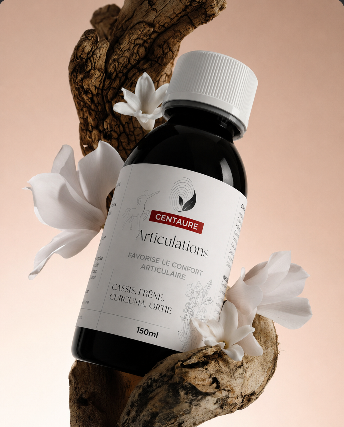 Gamme Centaure - ARTICULATIONS
