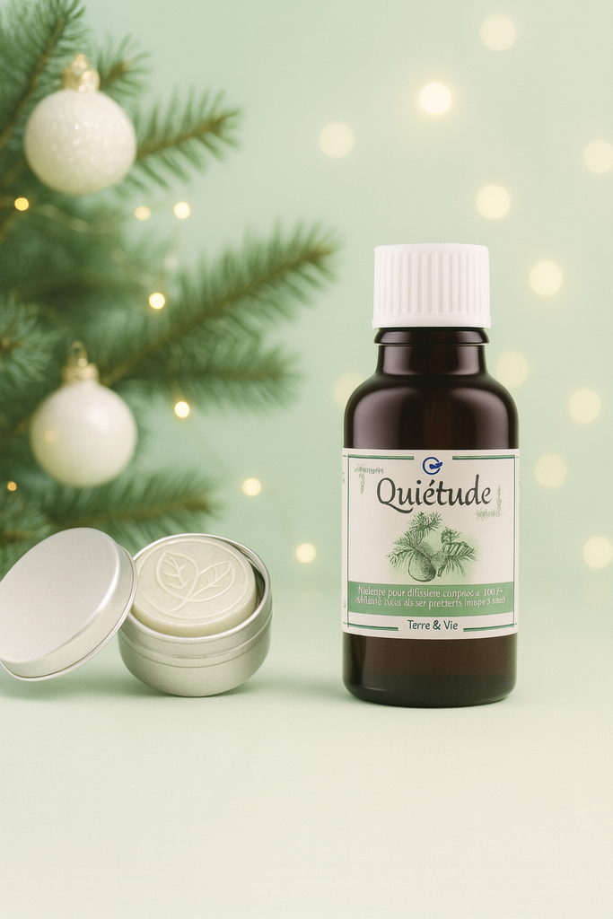 Coffret cadeau - Galet diffuseur feuilles + Huile essentielle