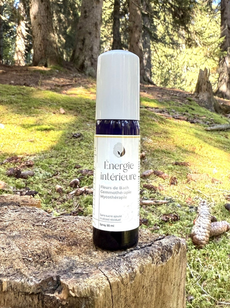 G. S. ENERGIE INTERIEURE