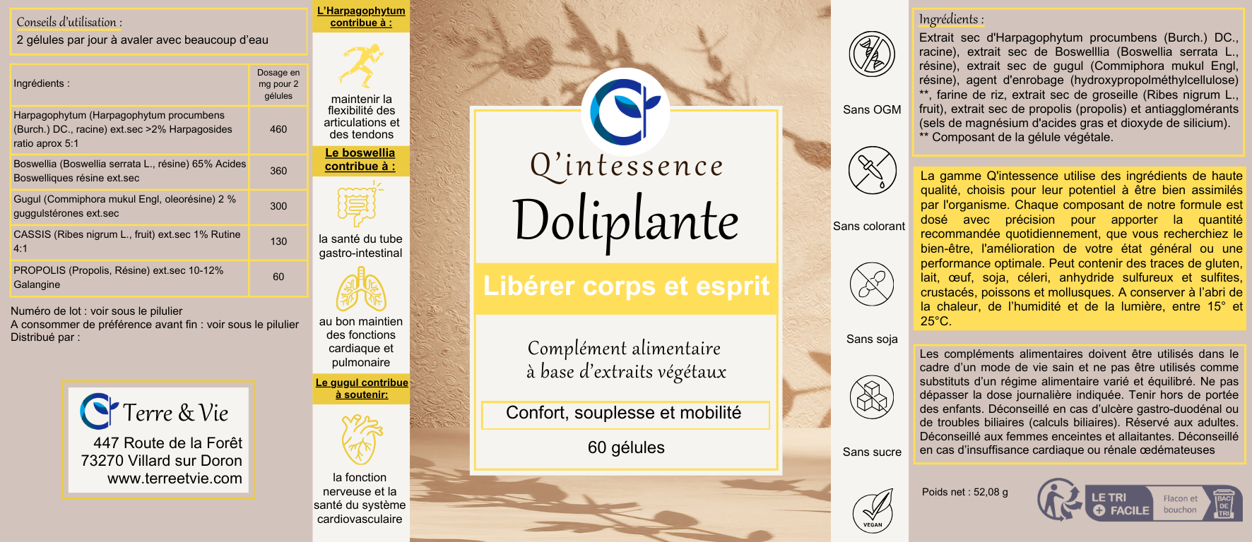 * Q'intessence Doliplante *