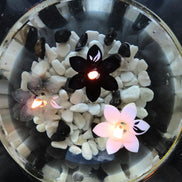 Coffret SMOKING- 3 Flammes flottantes
