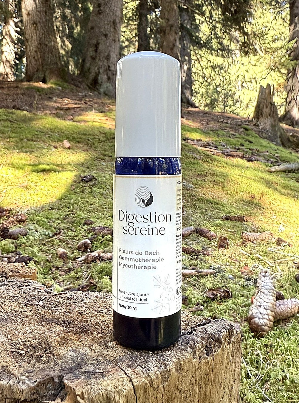 * G. S. DIGESTION SEREINE *