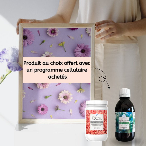Programme cellulaire - OFFRE DU MOIS D'AVRIL