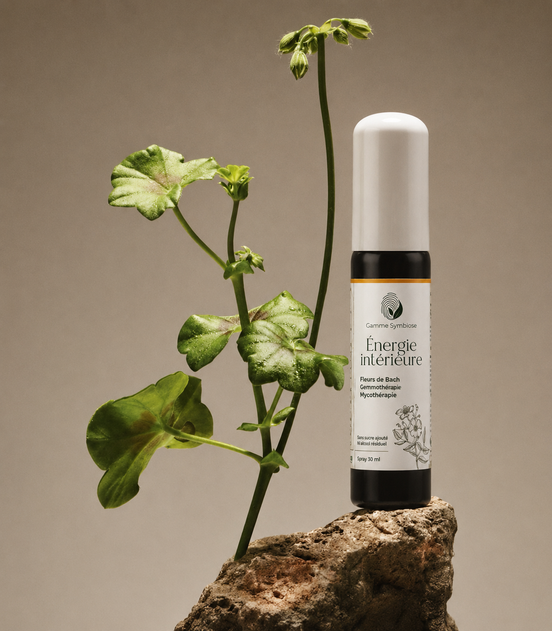 OFFRE ETE 2026 - Gamme symbiose -  ENERGIE INTERIEURE