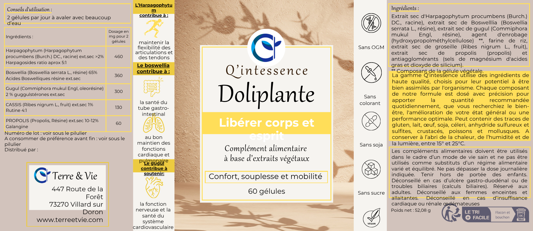 Q'INTESSENCE DOLIPLANTE