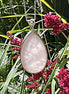 Pendentif goutte sertie  en Quartz rose