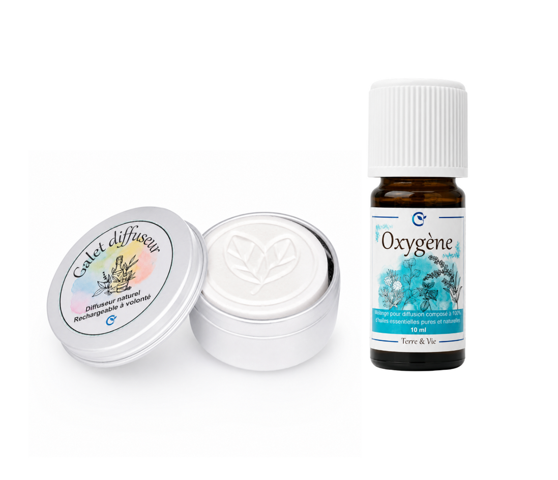 Duo : galet diffuseur feuilles + huile essentielle au choix