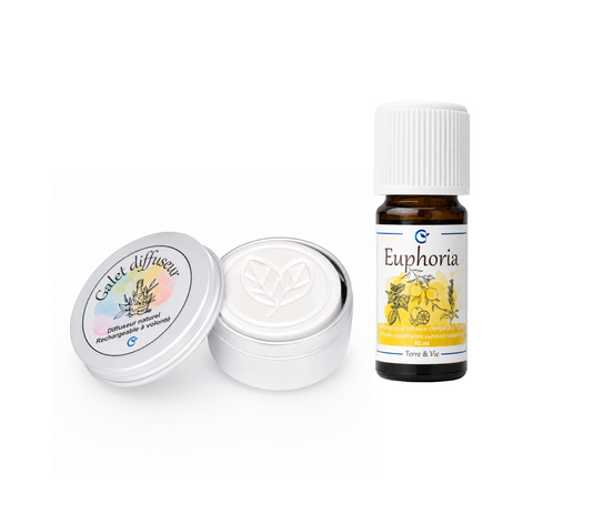 Duo : galet diffuseur feuilles + huile essentielle au choix