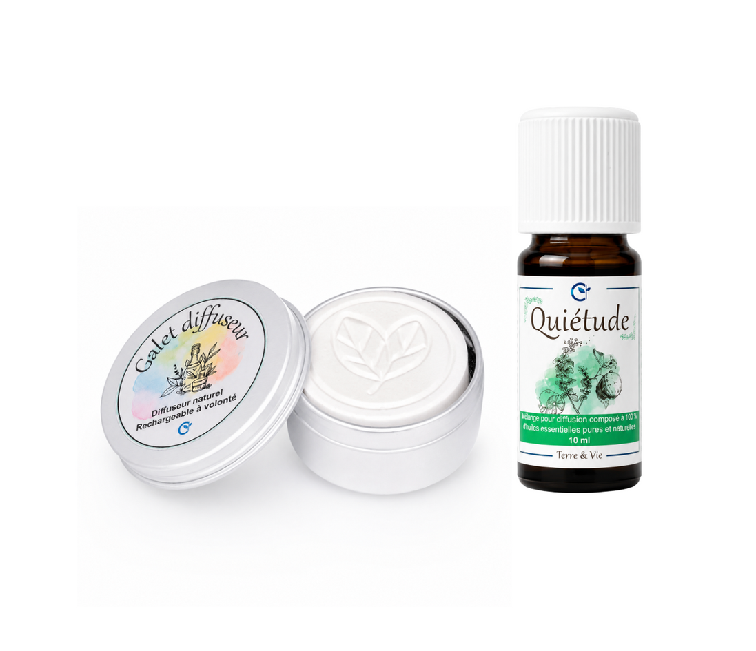 Duo : galet diffuseur feuilles + huile essentielle au choix