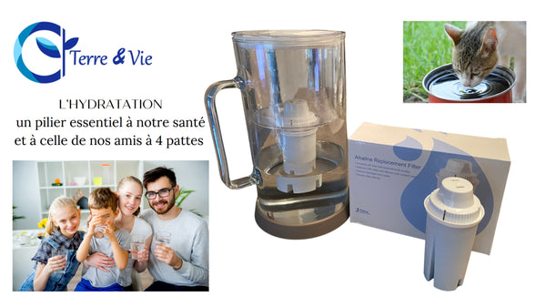 Filtre pour carafe filtrante rond