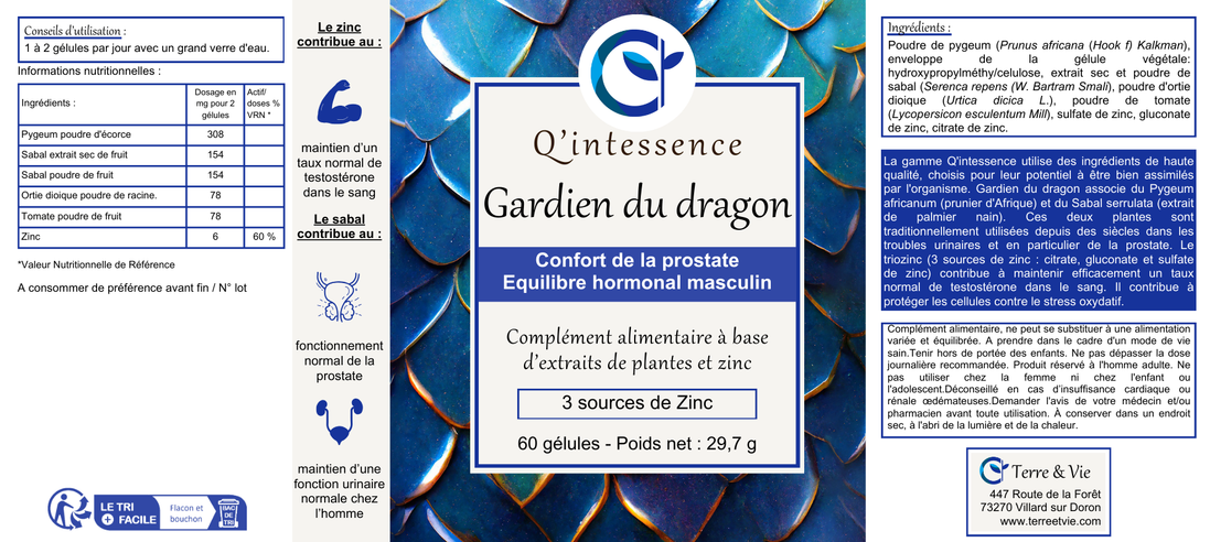 - GARDIEN DU DRAGON -