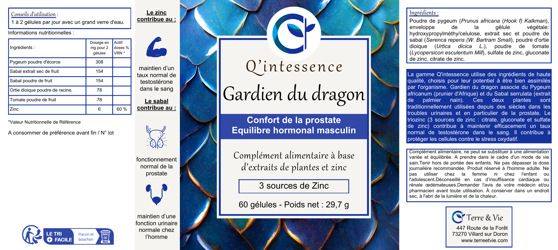 - GARDIEN DU DRAGON -