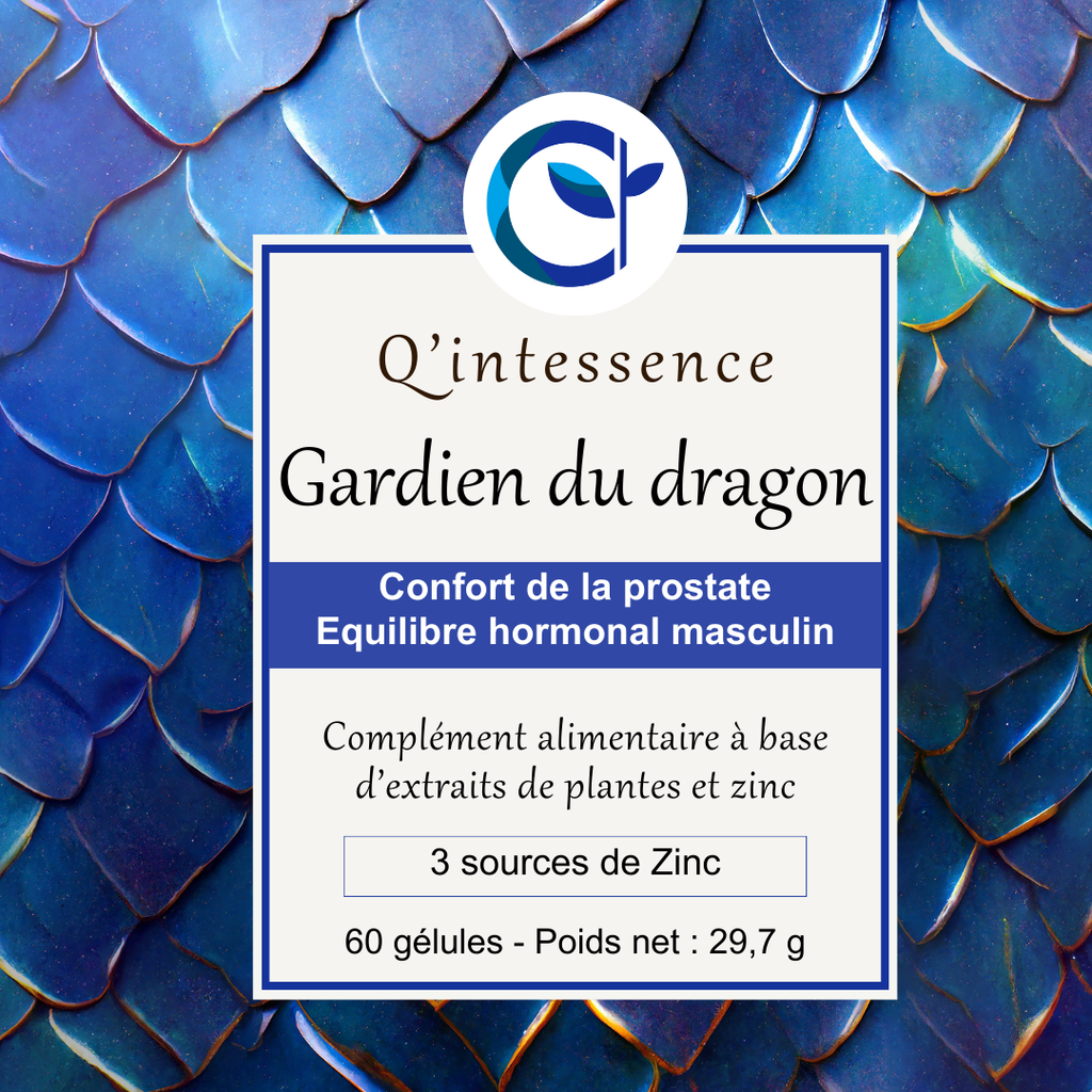 Gardien du Dragon